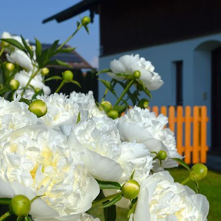 Ferienhaus Antdorfer Gartenglueck Exterior foto